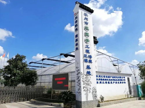 紓難解困，精準服務 賦能農副產品企業高質量發展